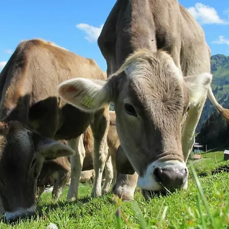 アパート Auszeit フュッセン