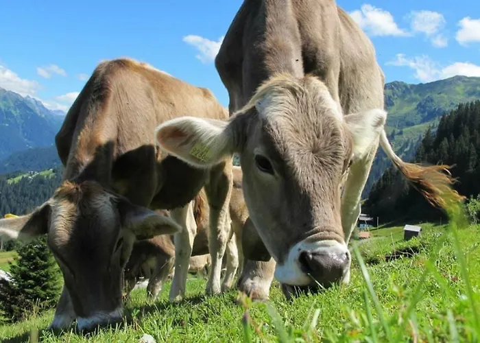 Apartmán Auszeit Füssen